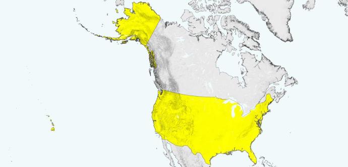 Photo des États-Unis