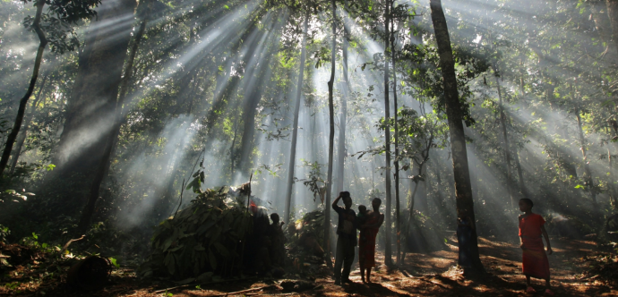 Personnes autochtones dans une forêt