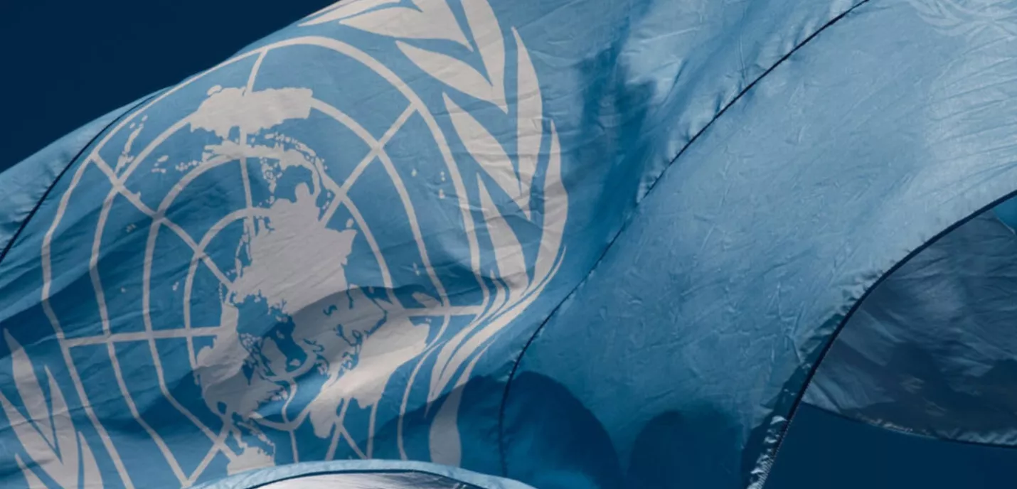 Drapeau de l'ONU