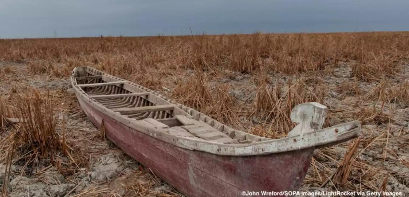 COP28 combustibles fossiles environnement barque