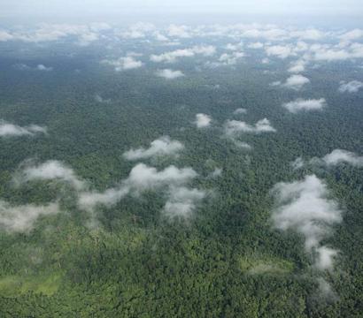 Environnement