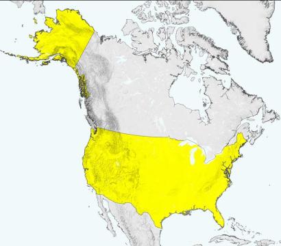 Photo des États-Unis