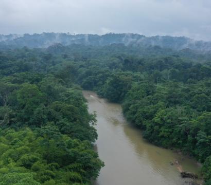 Amazonie