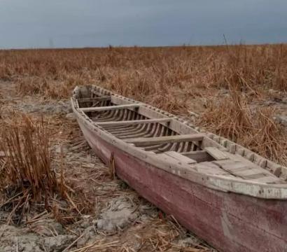 COP28 combustibles fossiles environnement barque