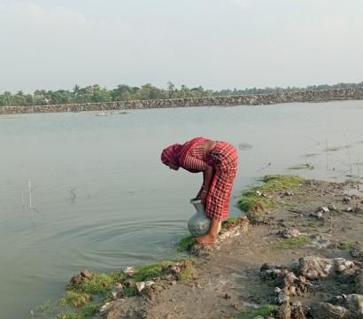 femme au bord d'un lac sale qui puise de l'eau